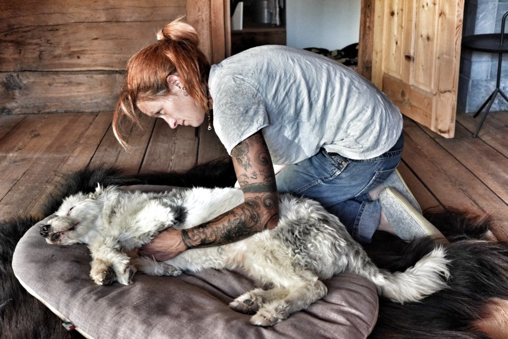 Osteopathie Hund
